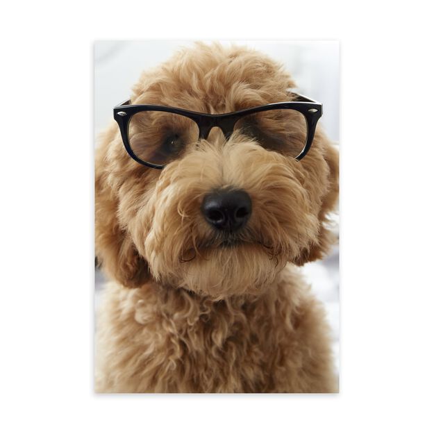 Dog in Glasses Customer Appreciation Card